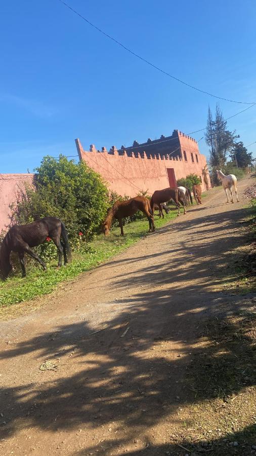 Gite Touristique Yassmine Madagh エクステリア 写真